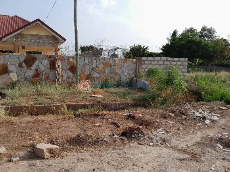Land For Sale Greda Estates Tsui Bleoo Teshie new Town Accra - 1