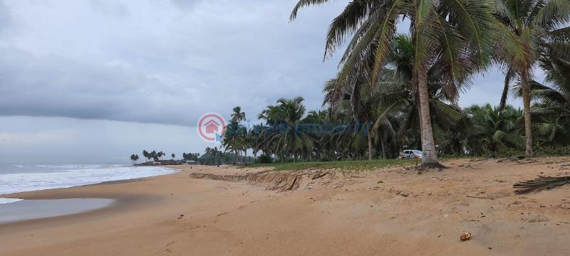 Land For Sale Dutch Komenda Elmina Komenda/Edina/Eguafo/Abirem Municipal Central Region - 4