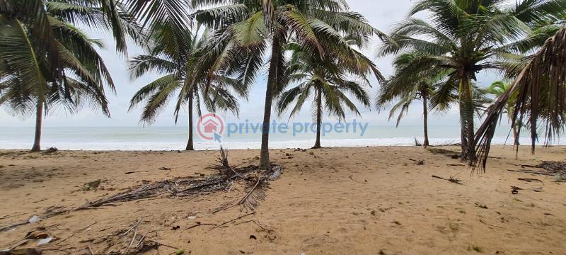 Land For Sale Dutch Komenda Elmina Komenda/Edina/Eguafo/Abirem Municipal Central Region - 2