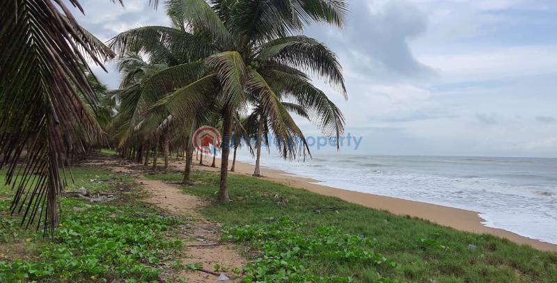 Land For Sale Dutch Komenda Elmina Komenda/Edina/Eguafo/Abirem Municipal Central Region - 0
