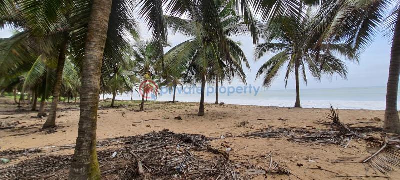 Land For Sale Dutch Komenda Elmina Komenda/Edina/Eguafo/Abirem Municipal Central Region - 1