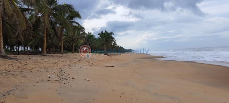 Land For Sale Dutch Komenda Elmina Komenda/Edina/Eguafo/Abirem Municipal Central Region - 5