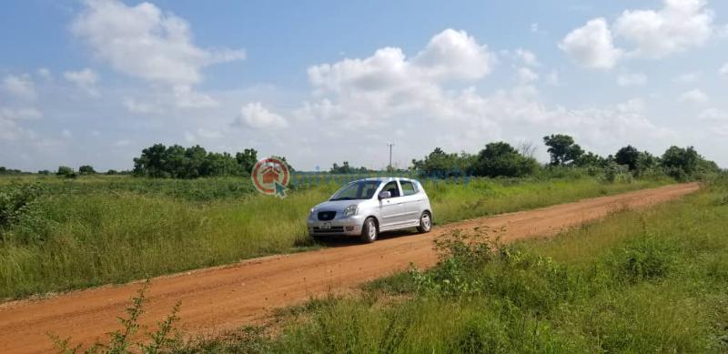 Land For Sale Pakro Off Nsawam Nsawam Akuapim South Municipal Eastern Region - 3