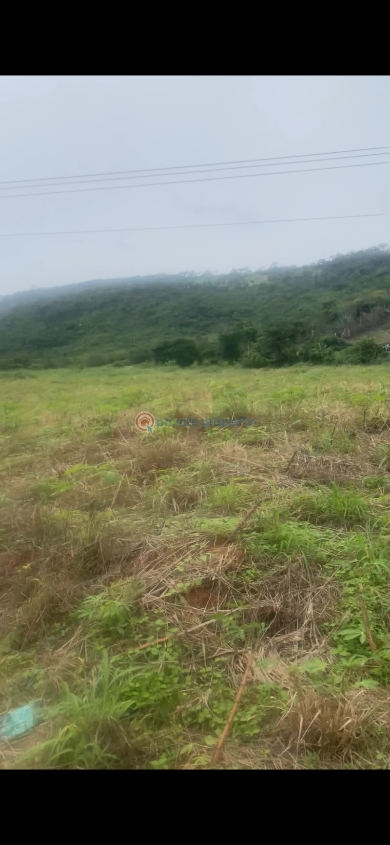 Commercial Land For Sale Safari Valley Eco Park To Asenema Water Falls Jubction Akuapim North Eastern Region - 2