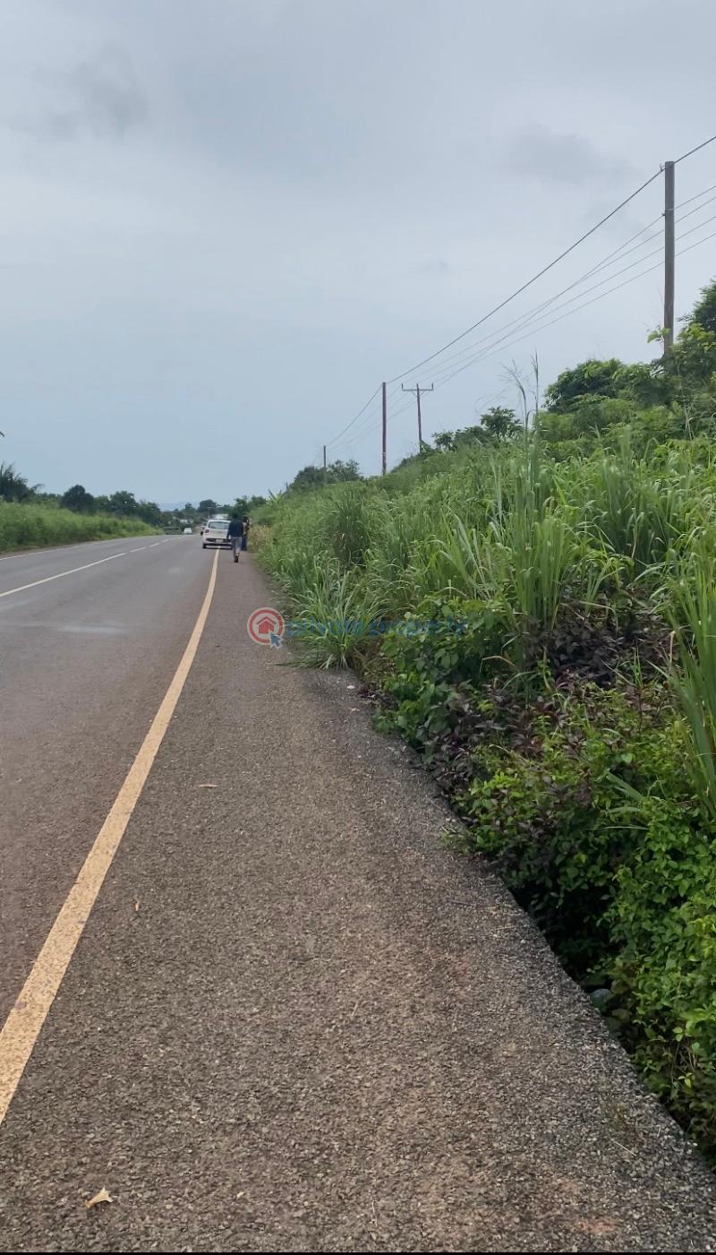 Commercial Land For Sale Safari Valley Eco Park To Asenema Water Falls Jubction Akuapim North Eastern Region - 0