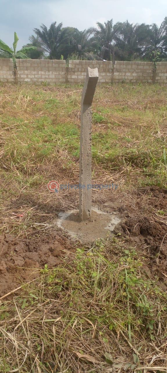 Land For Sale Senchi Asuogyaman Eastern Region - 3