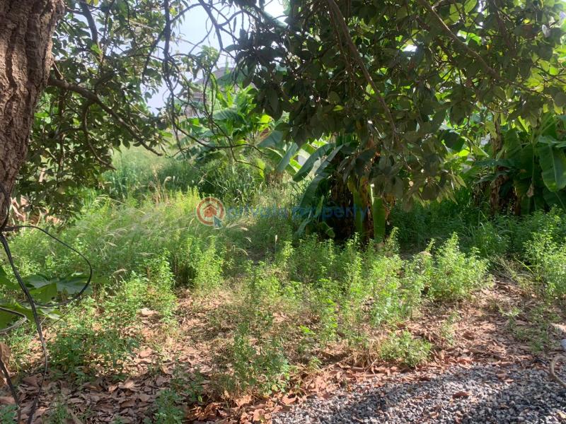 Land For Sale Tantra Hill Achimota Accra - 1