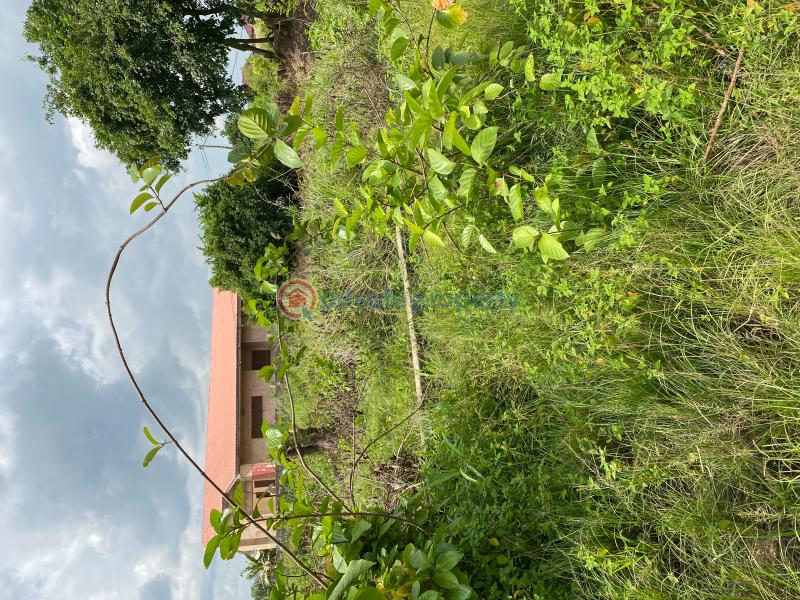 Land For Sale Adeiso Nsawam Akuapim South Municipal Eastern Region - 0