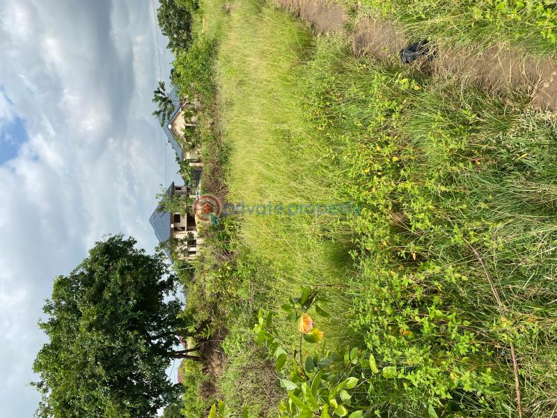 Land For Sale New Jerusalem Afienya Afienya Tema Accra (PID 4PAETR
