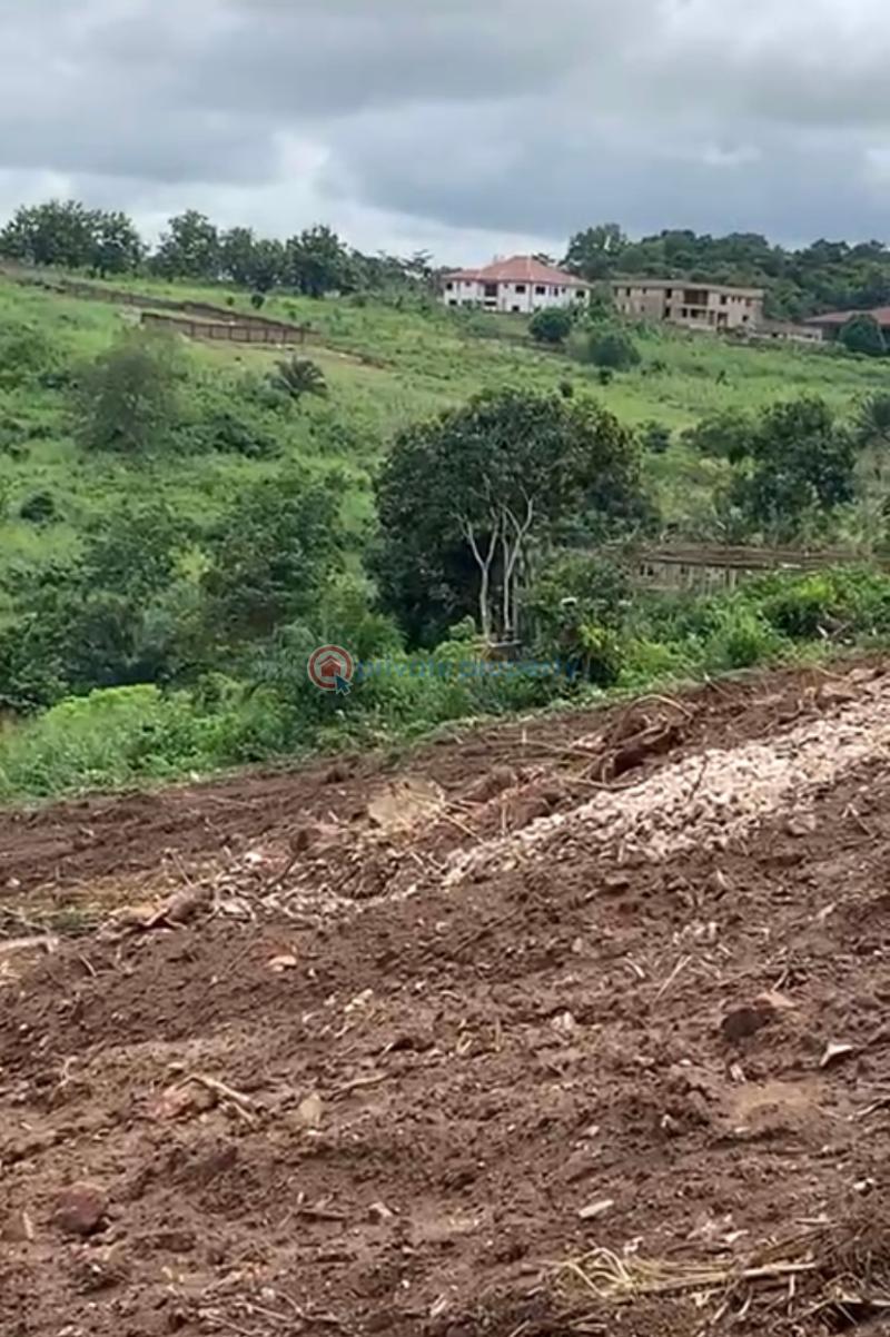 Land For Sale Near Peduase Lodge Aburi Akuapim South Municipal Eastern Region - 2