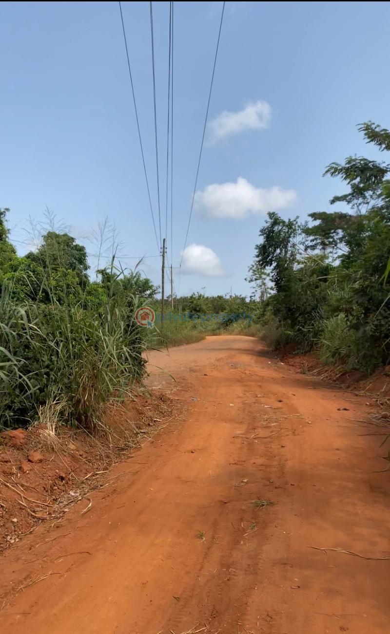 Land For Sale Adukrom Akuapim North Eastern Region - 1