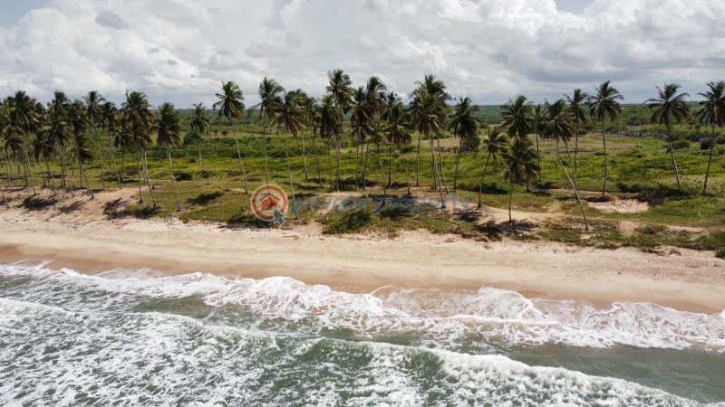 Land For Sale Ada Beach Front Ada West Accra - 1