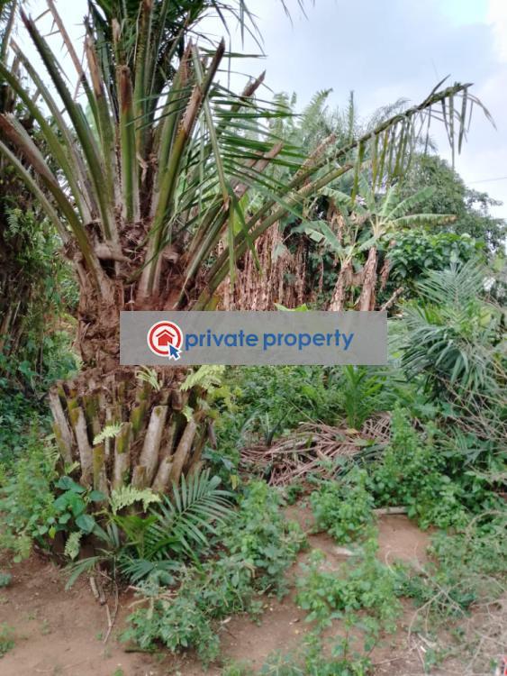 Land For Sale &nbsp;jankama Aburi Akuapim South Municipal Eastern Region - 2