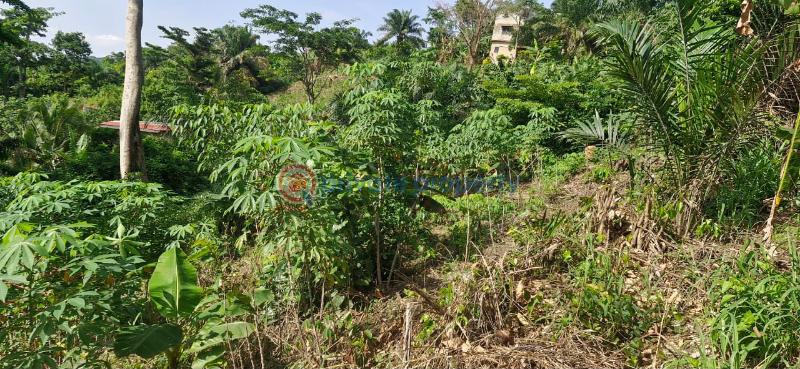 Land For Sale Aburi Mountains Apostolic Church Adenta Municipal Accra - 2
