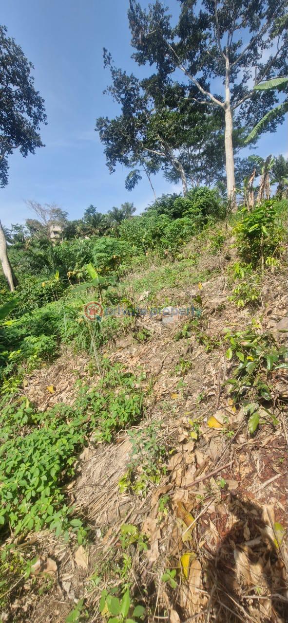 Land For Sale Aburi Mountains Apostolic Church Adenta Municipal Accra - 0