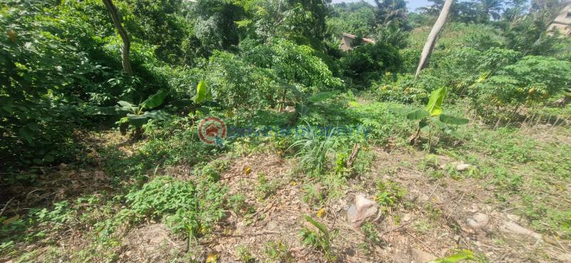 Land For Sale Aburi Mountains Apostolic Church Adenta Municipal Accra - 1