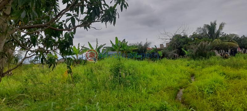Land For Sale Before Ayikuma Township Dodowa Shai Osudoku Accra - 4