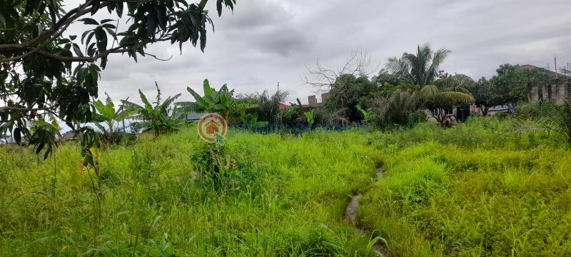 Land For Sale Before Ayikuma Township Dodowa Shai Osudoku Accra - 5
