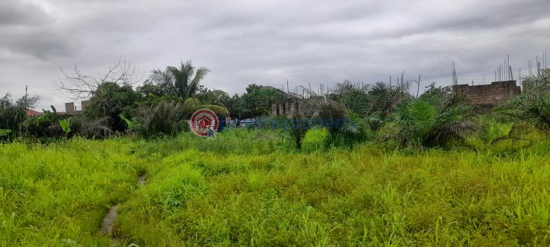 Land For Sale Before Ayikuma Township Dodowa Shai Osudoku Accra - 2