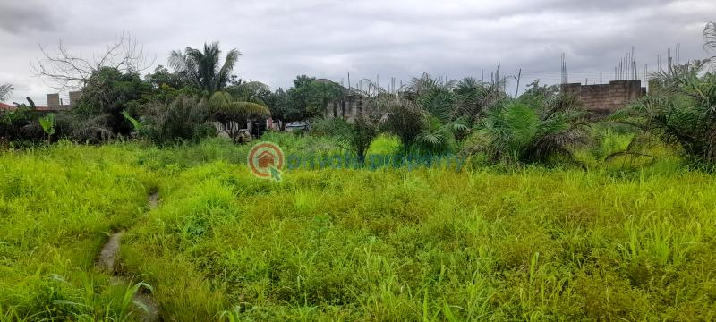 Land For Sale Before Ayikuma Township Dodowa Shai Osudoku Accra - 3