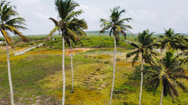 Land For Sale Ekumfi Arkra Mfantsiman Municipal Central Region - 18