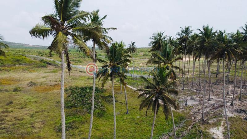 Land For Sale Ekumfi Arkra Mfantsiman Municipal Central Region - 11