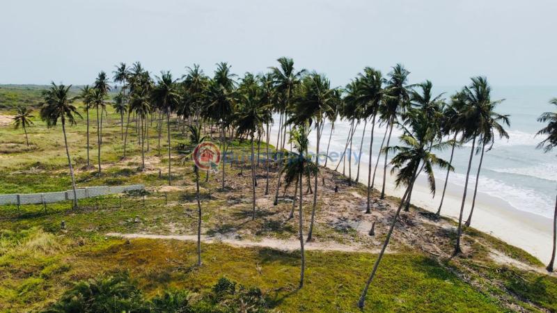 Land For Sale Ekumfi Arkra Mfantsiman Municipal Central Region - 4