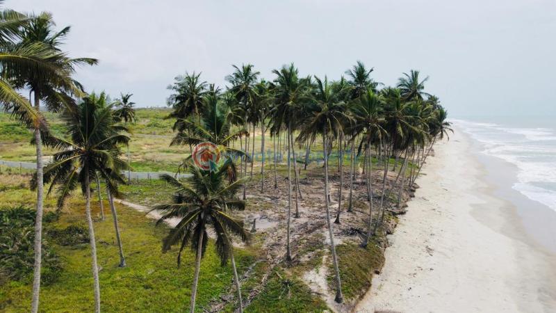 Land For Sale Ekumfi Arkra Mfantsiman Municipal Central Region - 6