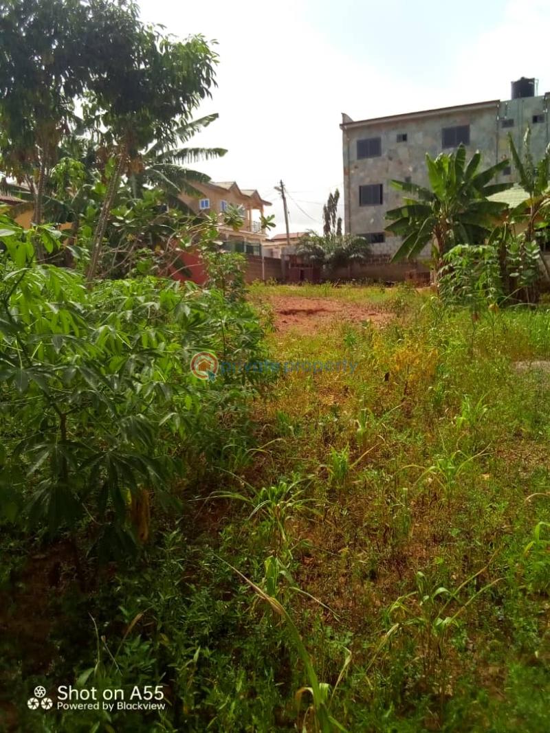 Land For Sale Ashalaja Amasaman Ghana Accra Metropolitan (PID 2PAEWQ
