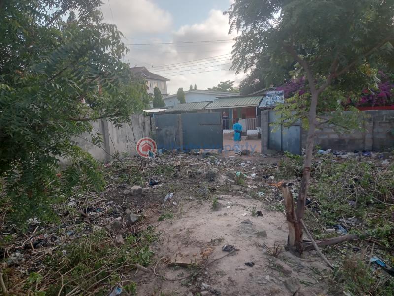 Land For Sale Teshie Nungua Teshie-Nungua Estates Accra - 2
