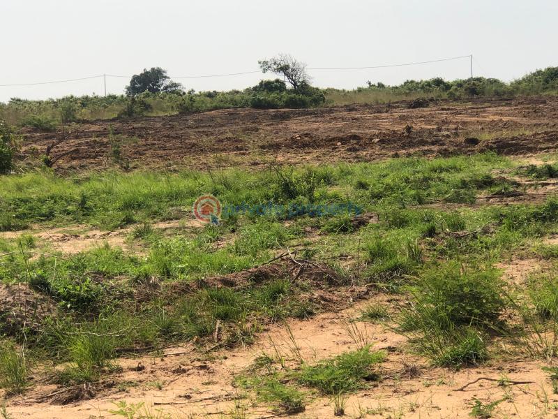 Land For Sale Central University Dawhenya Ningo Prampram District Accra - 3