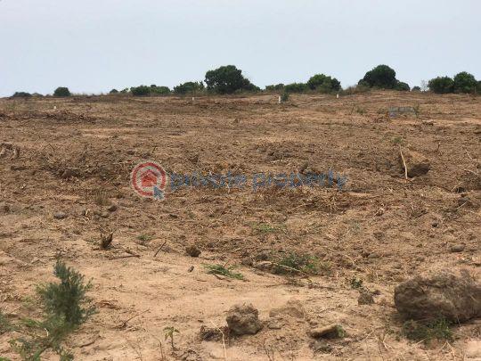 Land For Sale Central University Tsopoli Ningo Prampram District Accra - 1