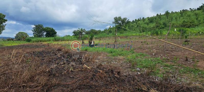 Mixed use Land For Sale Afadzato Afadjato South Volta Region - 8