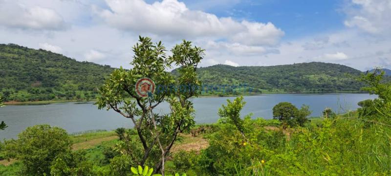 Mixed use Land For Sale Afadzato Afadjato South Volta Region - 0