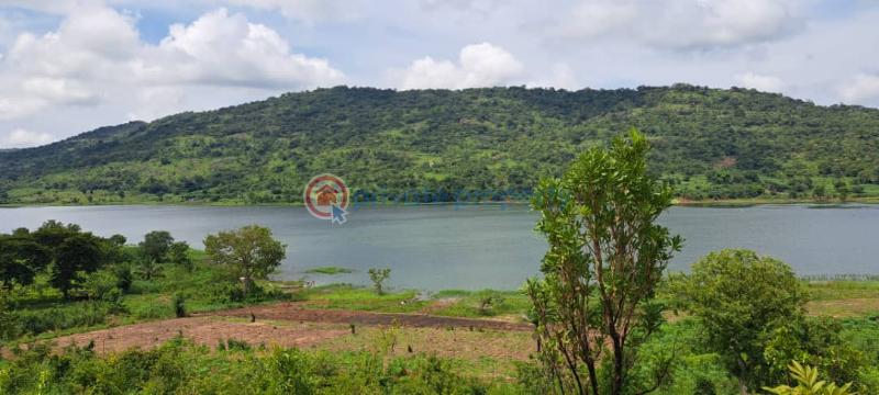 Mixed use Land For Sale Afadzato Afadjato South Volta Region - 7