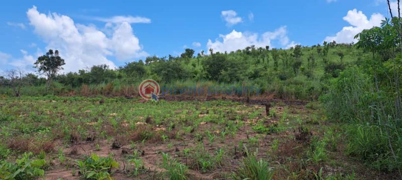 Mixed use Land For Sale Afadzato Afadjato South Volta Region - 2