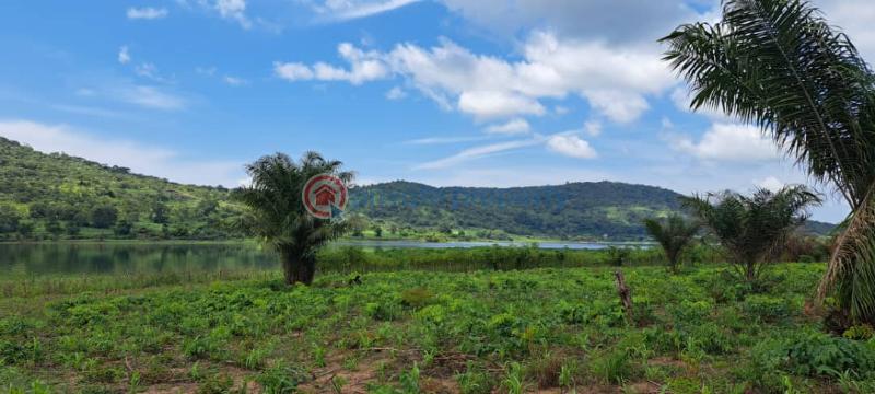 Mixed use Land For Sale Afadzato Afadjato South Volta Region - 3