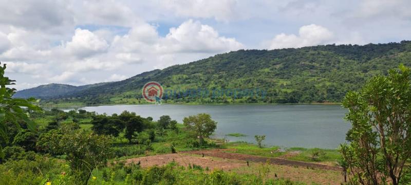 Mixed use Land For Sale Afadzato Afadjato South Volta Region - 6