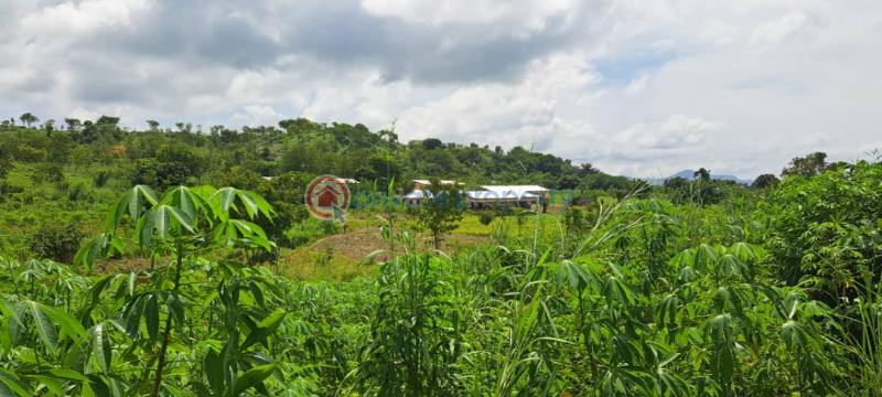 Mixed use Land For Sale Afadzato Afadjato South Volta Region - 1