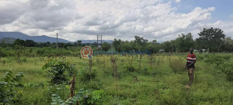 Land For Sale Have Afadjato South Volta Region - 20