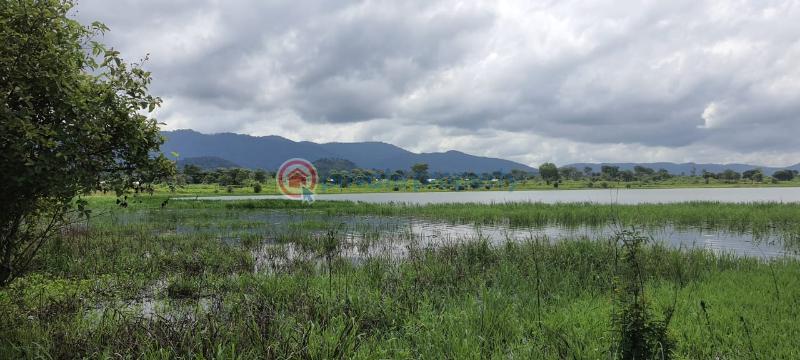 Land For Sale Have Afadjato South Volta Region - 2