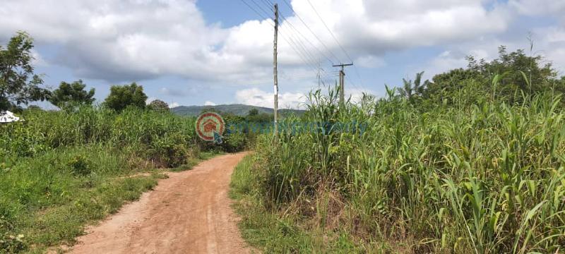 Land For Sale Have Afadjato South Volta Region - 28