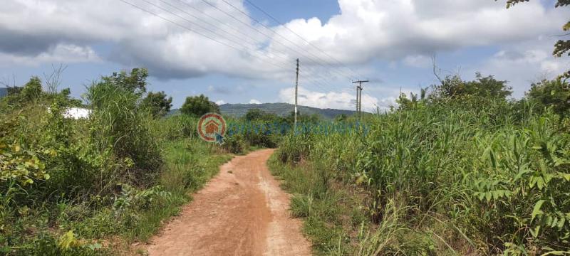 Land For Sale Have Afadjato South Volta Region - 27