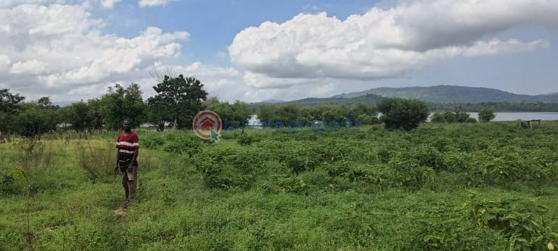 Land For Sale Have Afadjato South Volta Region - 19