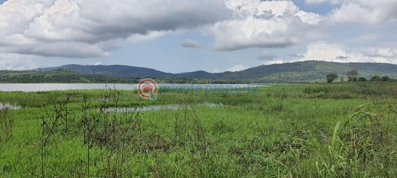 Land For Sale Have Afadjato South Volta Region - 9