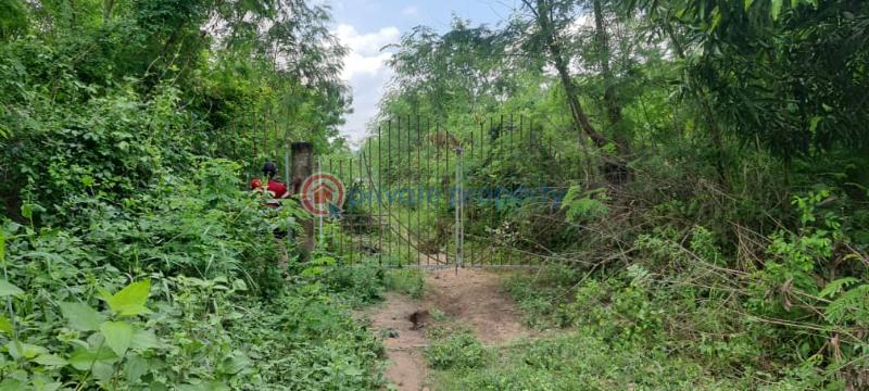 Land For Sale Have Afadjato South Volta Region - 24