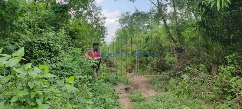 Land For Sale Have Afadjato South Volta Region - 23