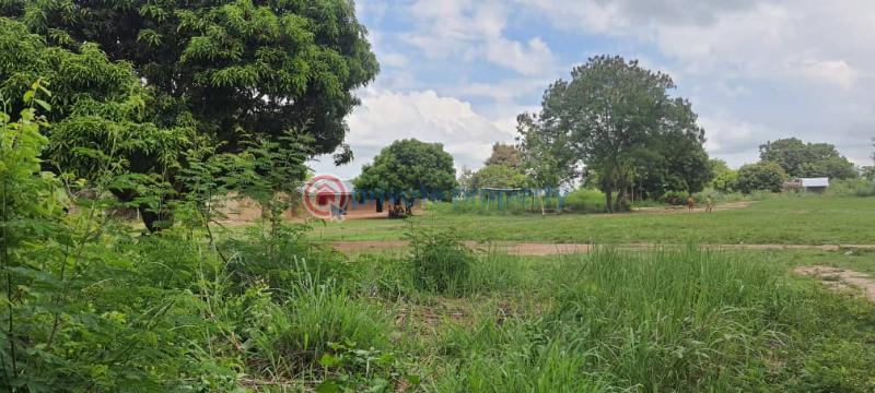 Land For Sale Have Afadjato South Volta Region - 25