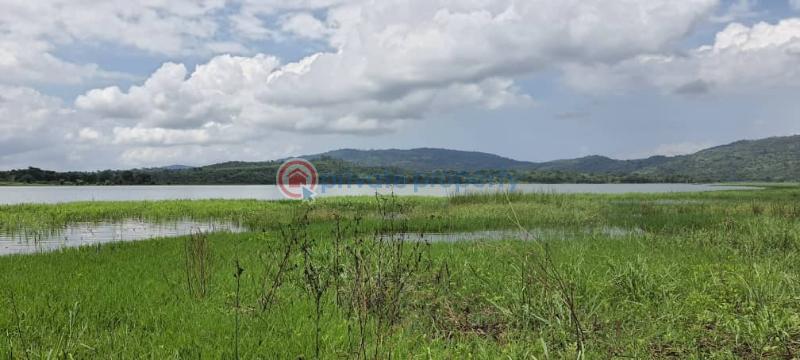 Land For Sale Have Afadjato South Volta Region - 1