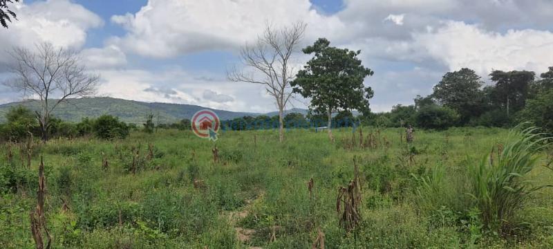 Land For Sale Have Afadjato South Volta Region - 11